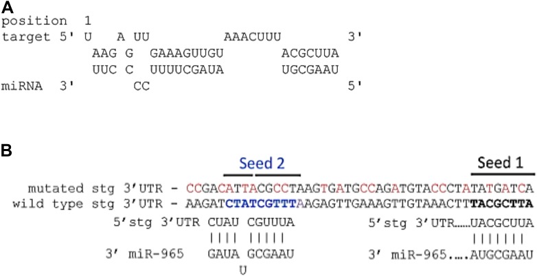 Figure 4—figure supplement 1.