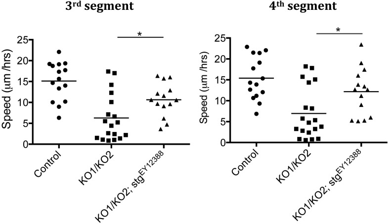 Figure 5—figure supplement 5.