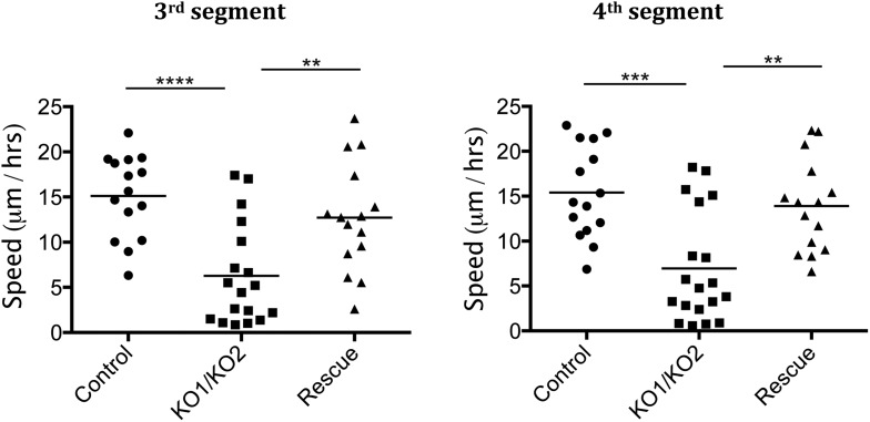 Figure 3—figure supplement 1.