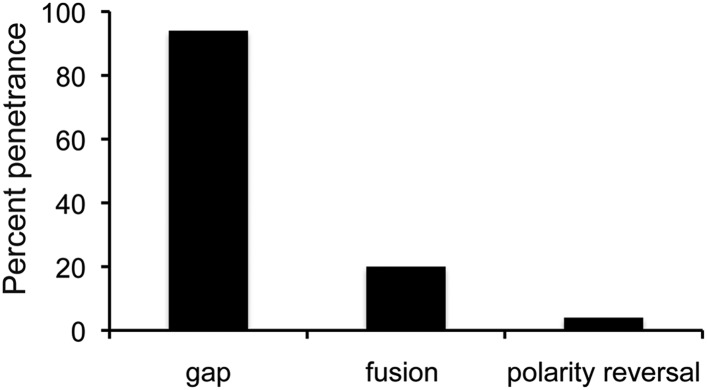 Figure 5—figure supplement 1.