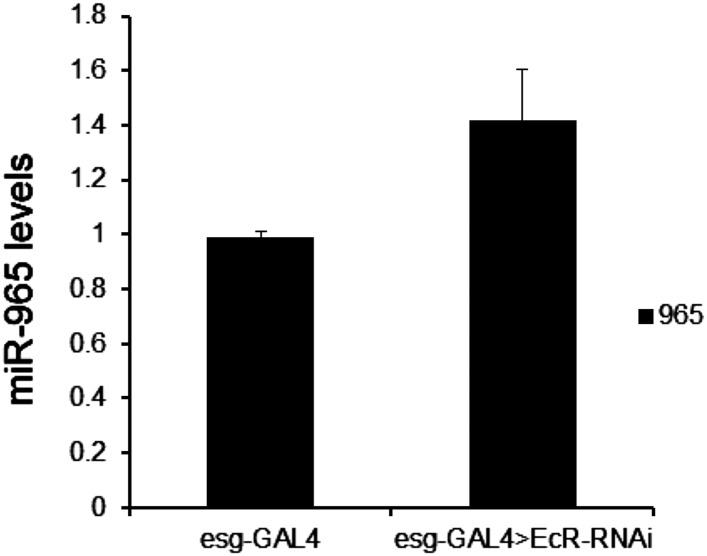 Figure 6—figure supplement 1.