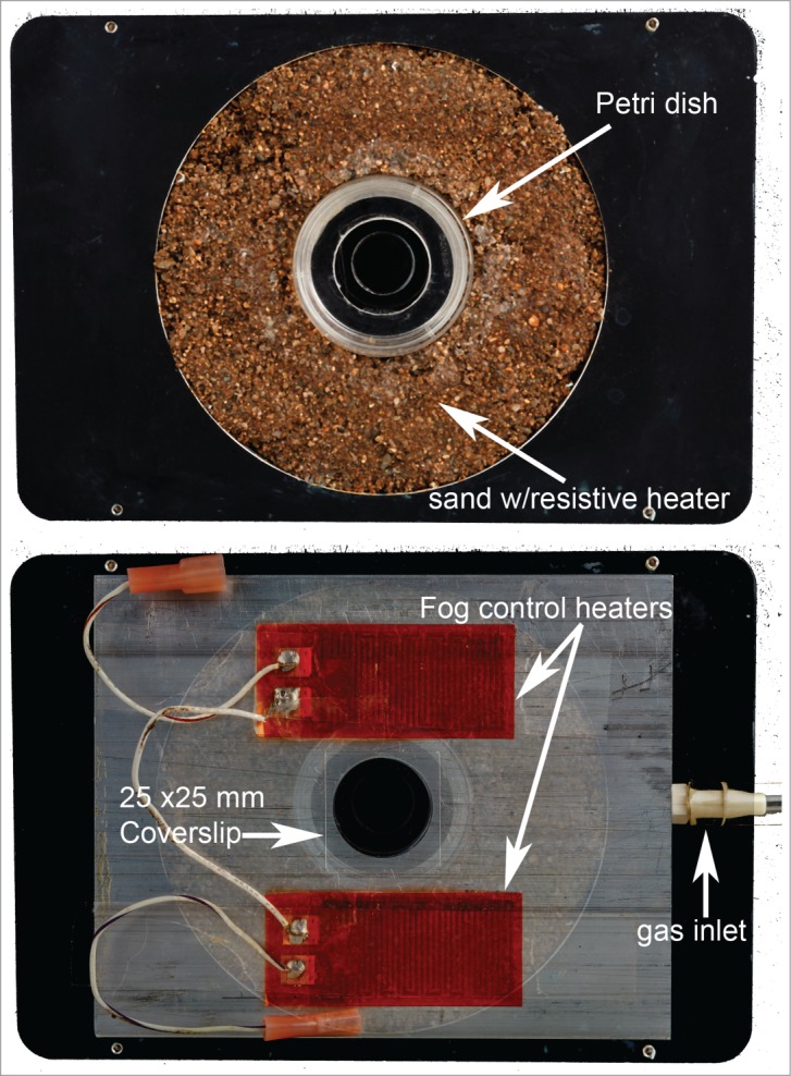 Figure 5.