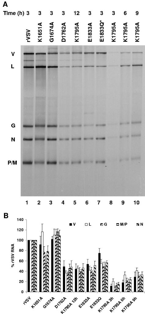 FIG. 7.