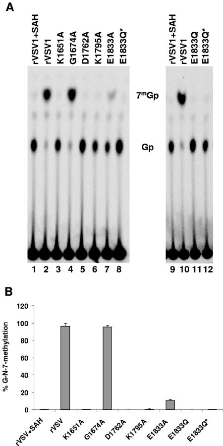 FIG. 5.