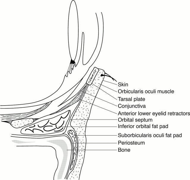 Figure 3  