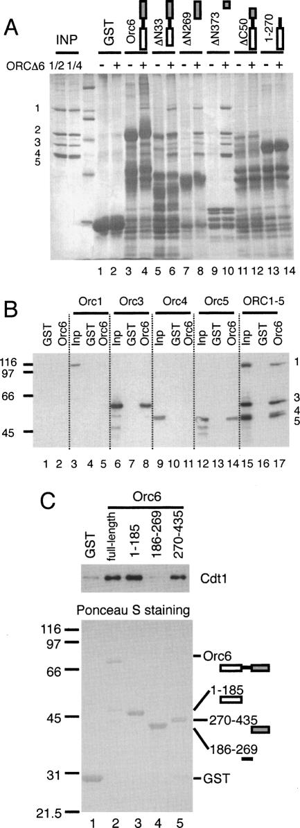 Figure 5.