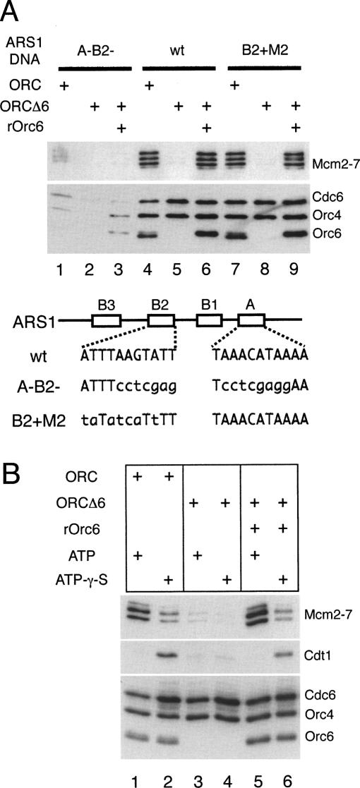 Figure 4.