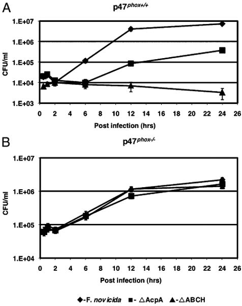 FIGURE 3