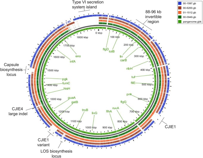 Fig 2