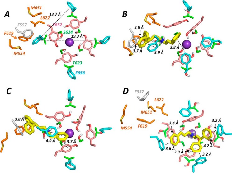 Figure 11.