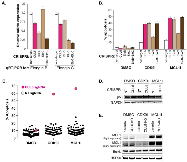 Figure 3—figure supplement 2.