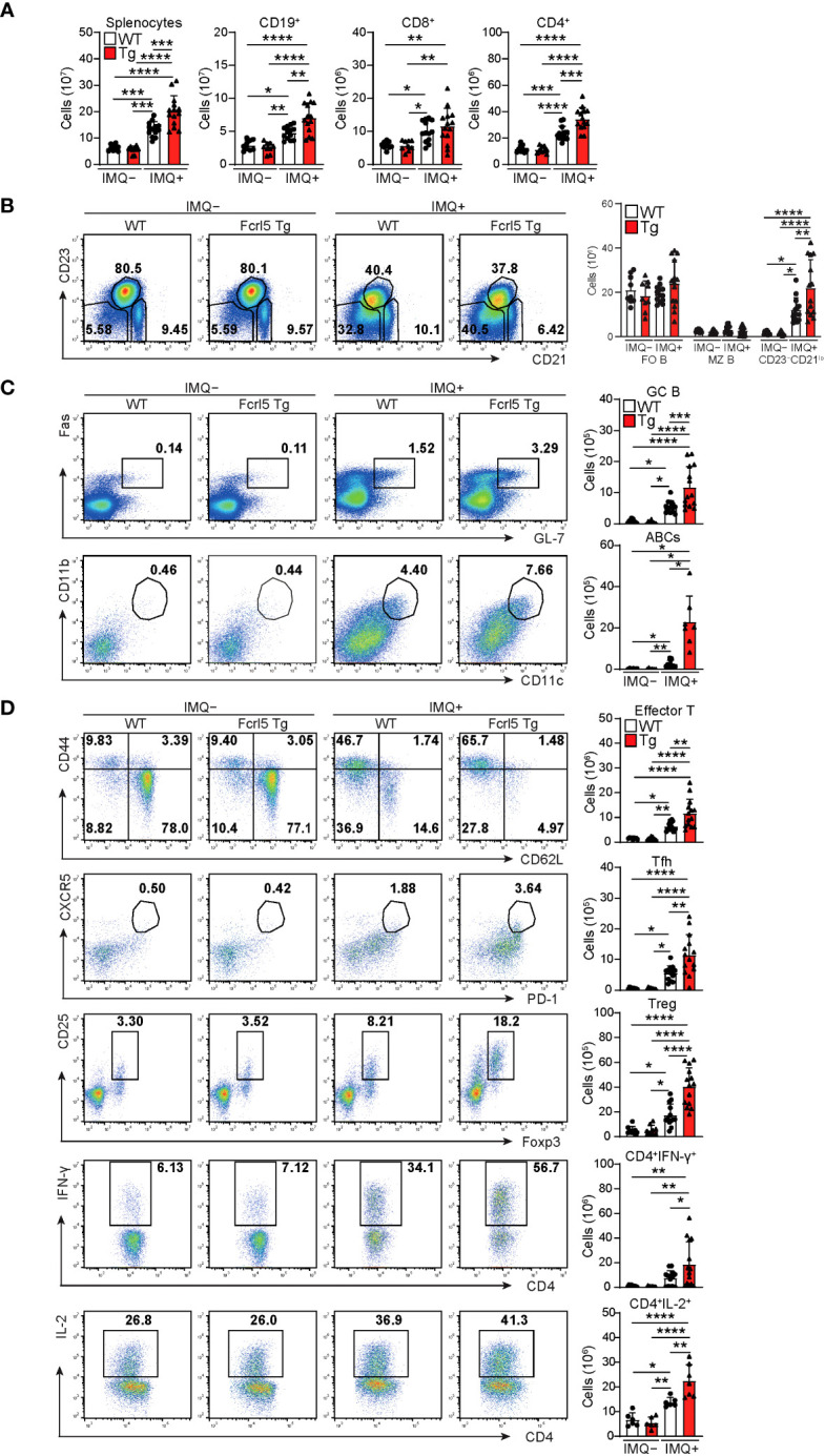 Figure 4