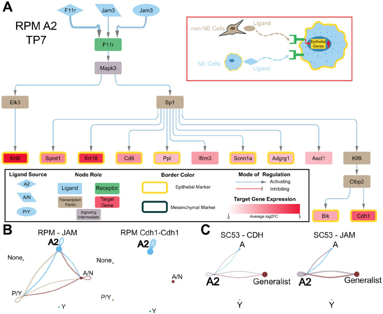 Figure 3: