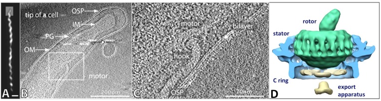 Fig. (4)