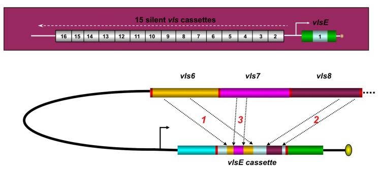 Fig. (3)