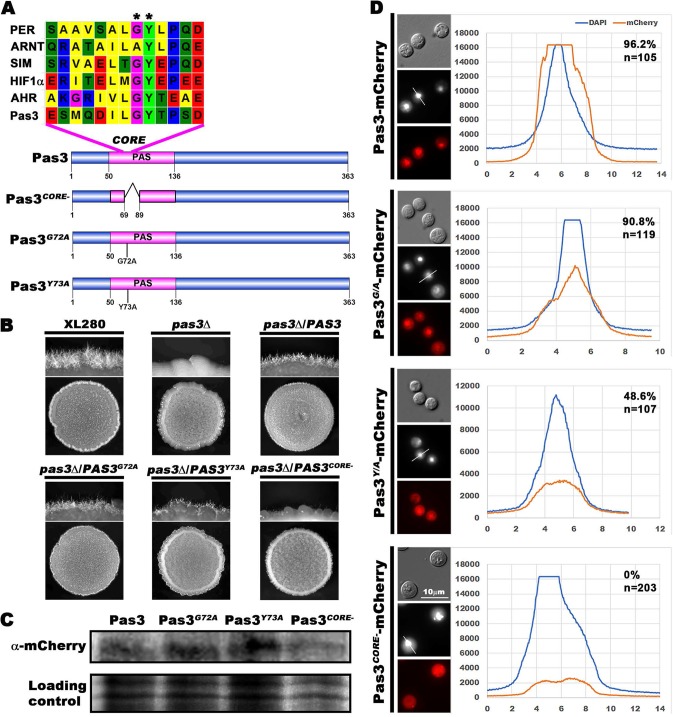 FIG 4