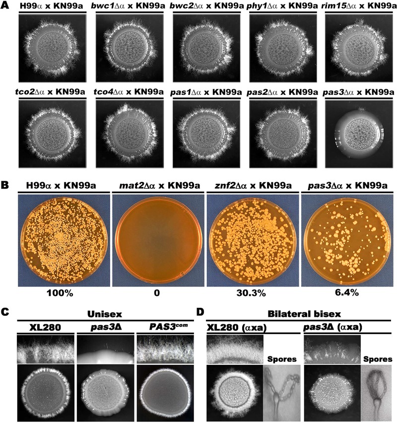 FIG 2