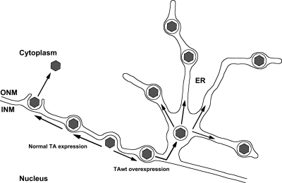 Fig. 8.