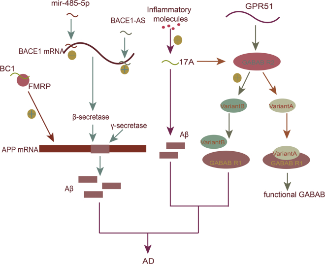 Figure 1