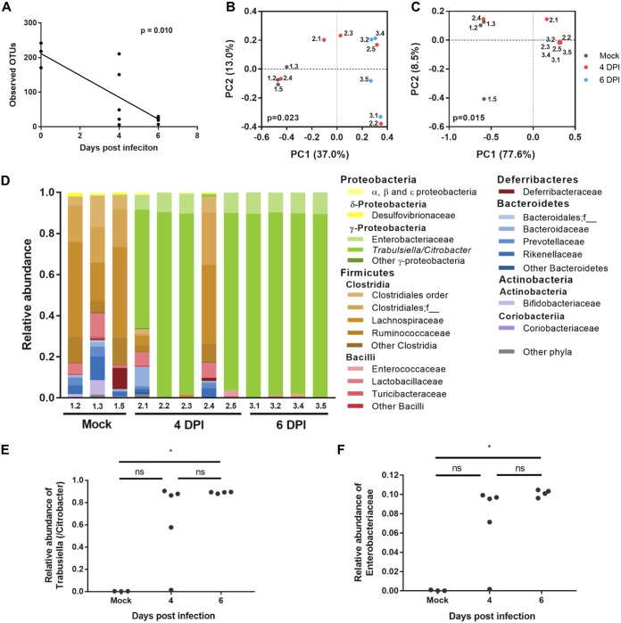 FIG 3