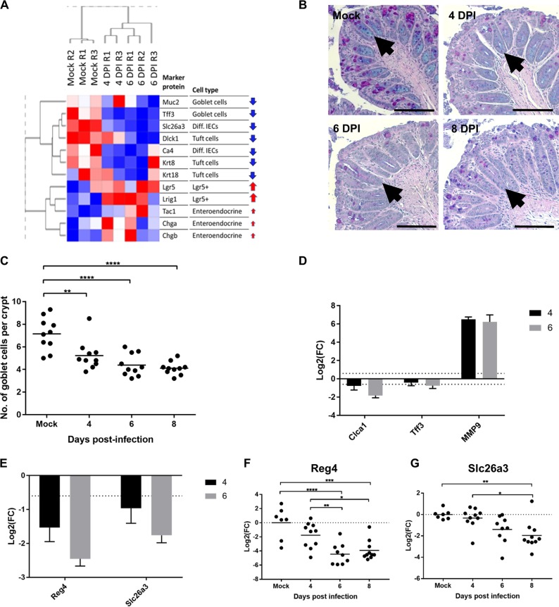 FIG 6