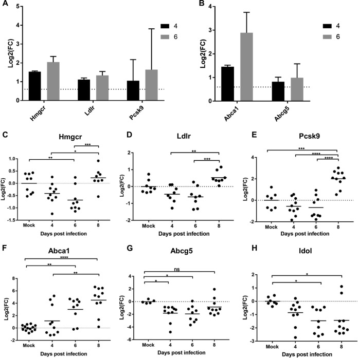 FIG 2