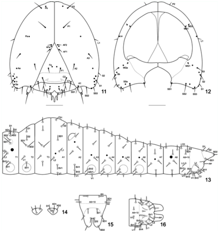 Figures 11–16. 