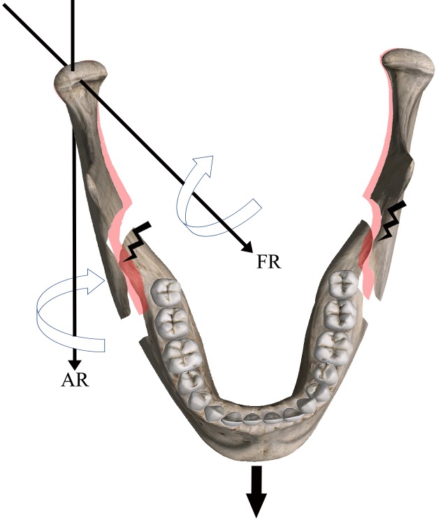 Fig 8