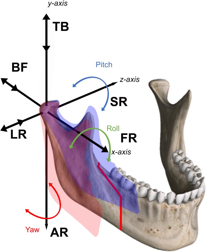 Fig 5