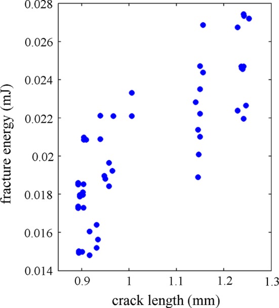 Fig. 6