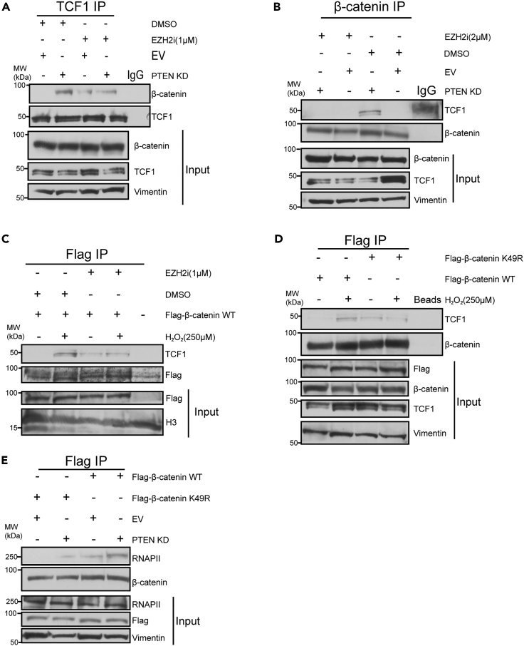 Figure 5