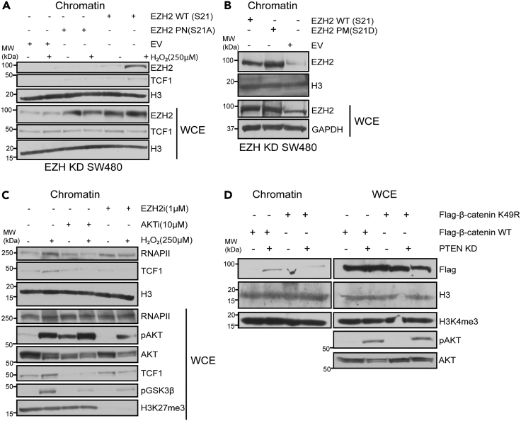 Figure 6