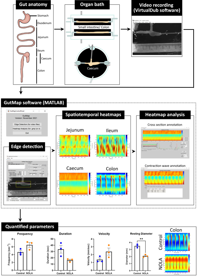 graphic file with name BioProtoc-13-19-4831-ga001.jpg