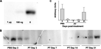 FIG. 7.