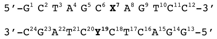 Scheme 4