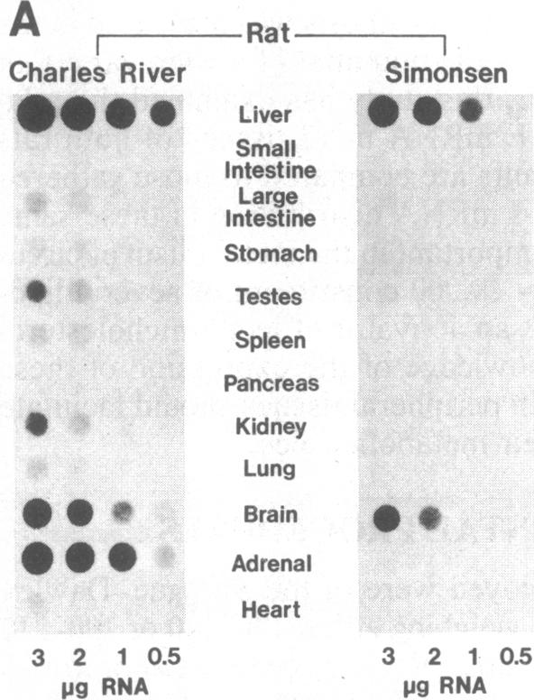 graphic file with name pnas00341-0218-a.jpg