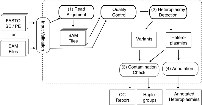 Figure 1.