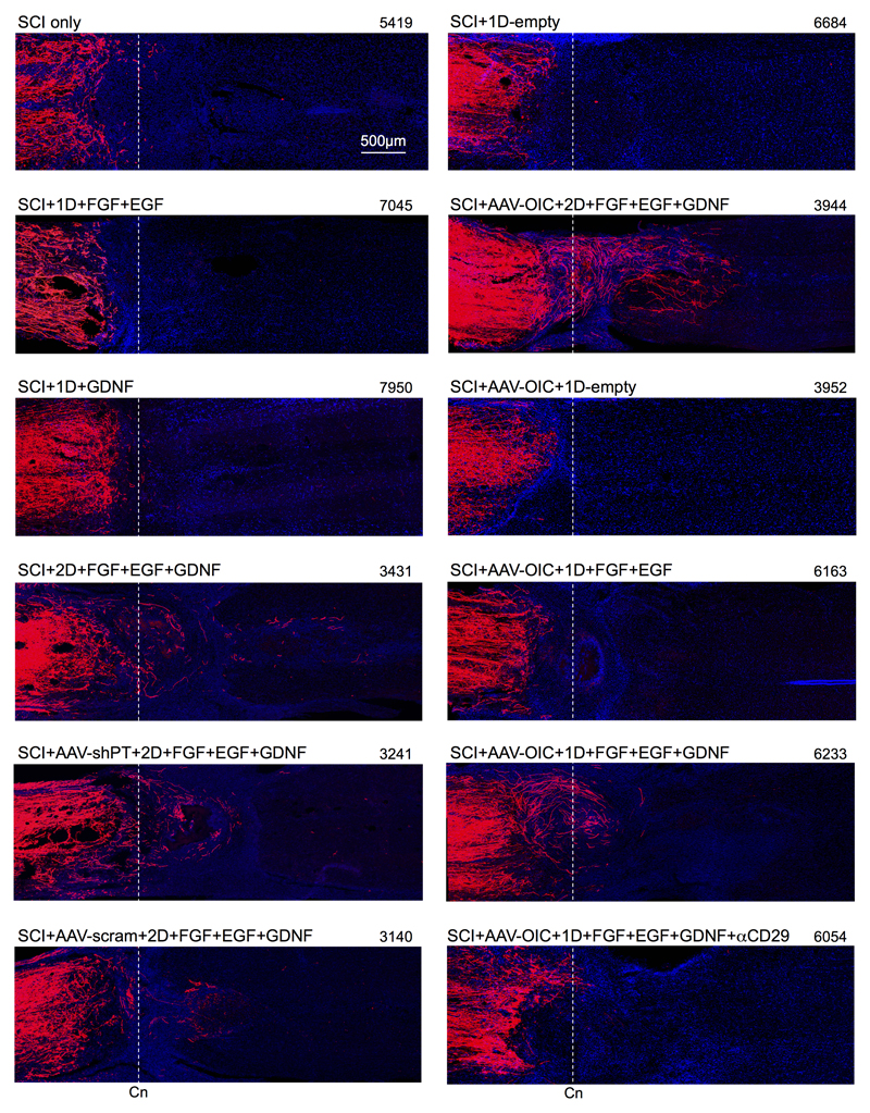 Extended Data Figure 4