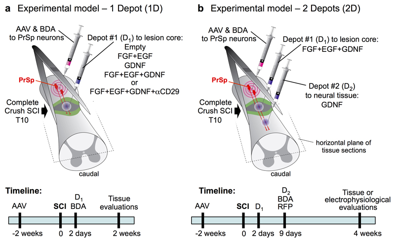 Extended Data Figure 1