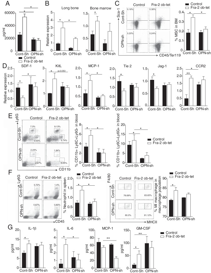 FIG 6