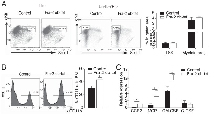 FIG 2