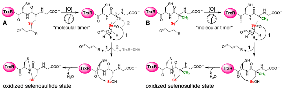 Figure 2: