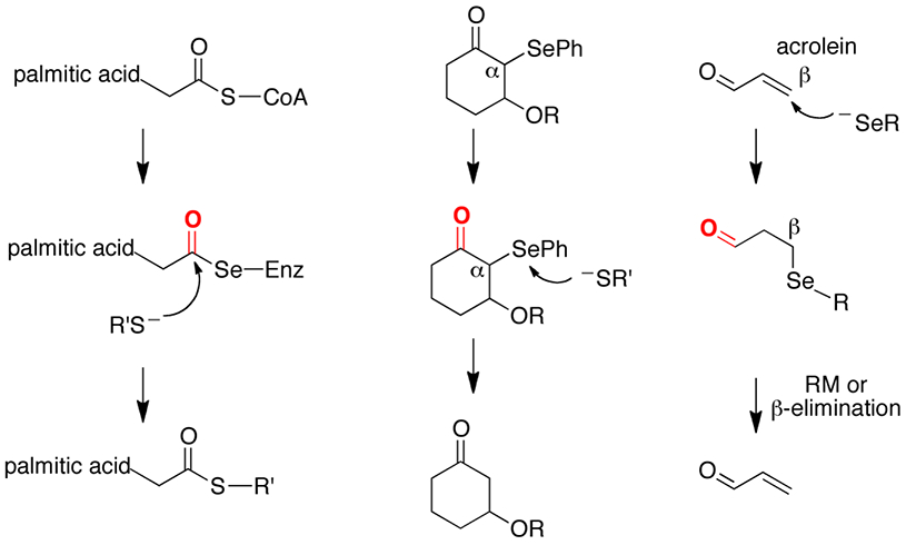 Figure 10: