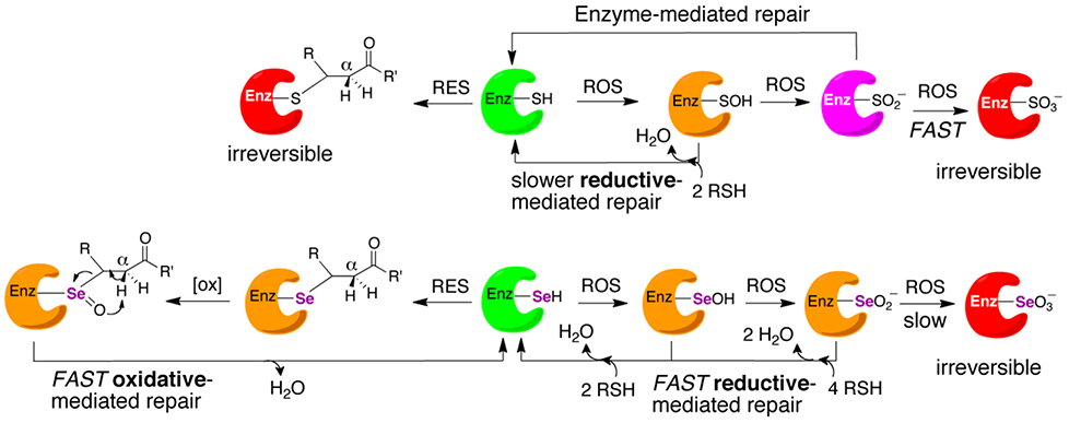 Figure 11: