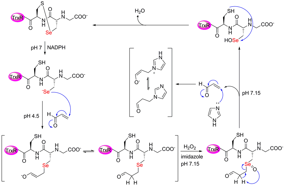 Figure 7: