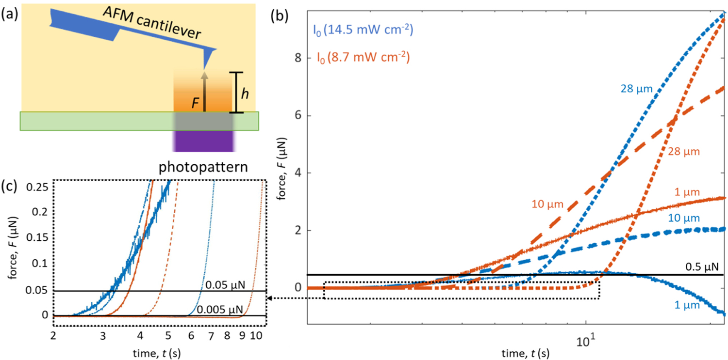 Fig. 3.