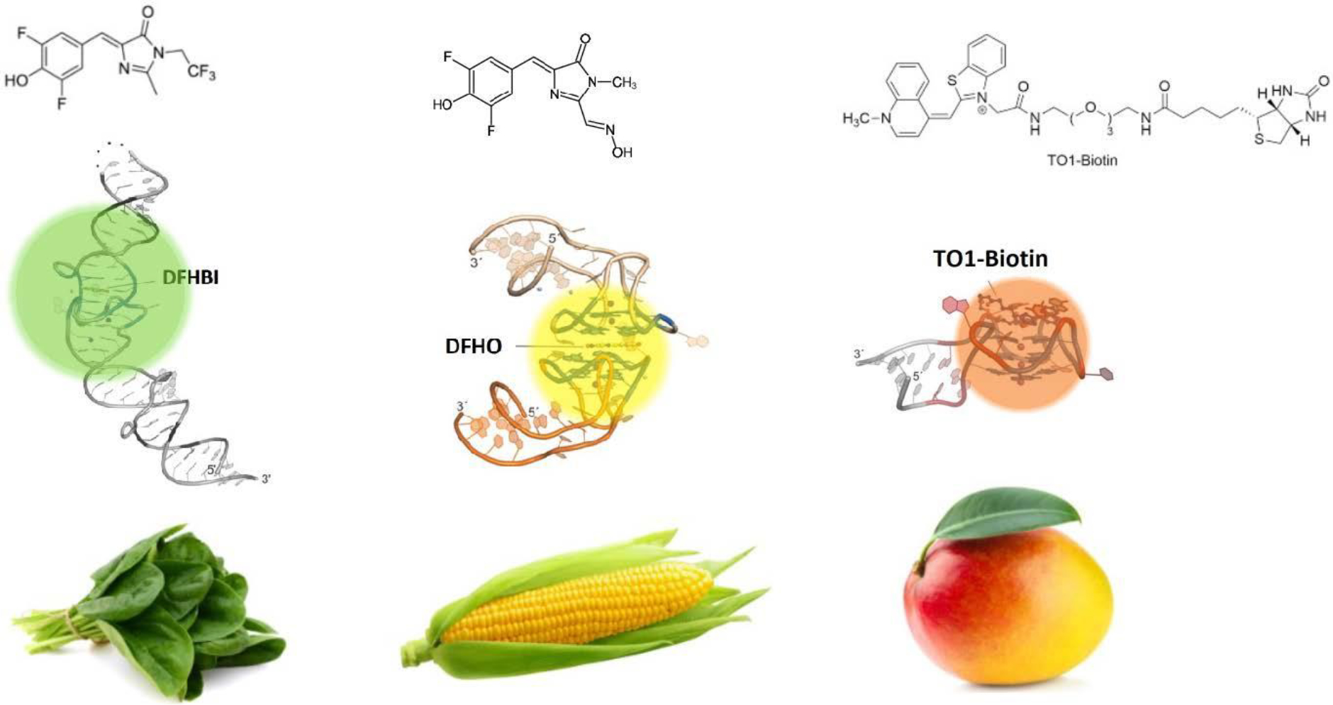 Figure 6: