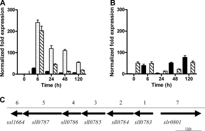 FIG. 1.