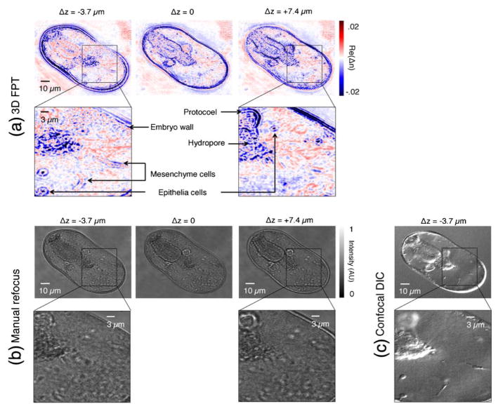 Fig. 7