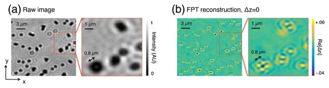 Fig. 3